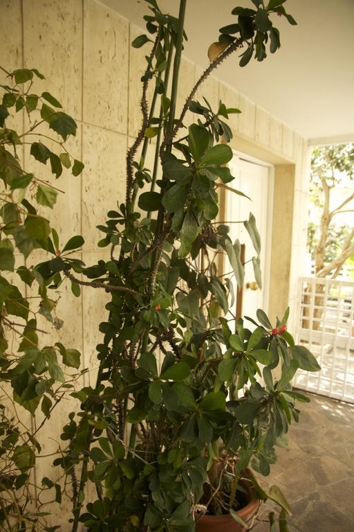 Casa Mimi B&B Pescara Buitenkant foto